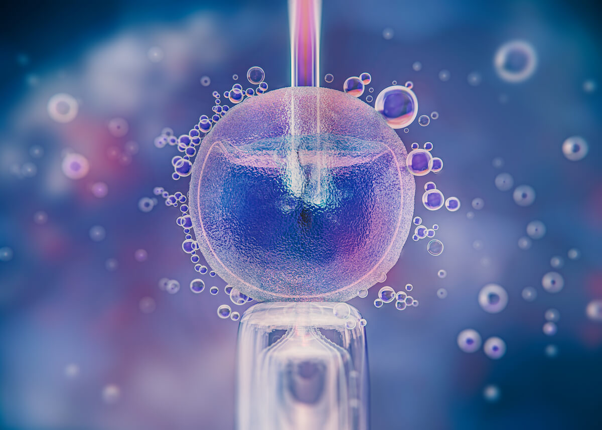 The Ultimate Guide to Advantages & Disadvantages of Blastocyst Transfer for IVF Success