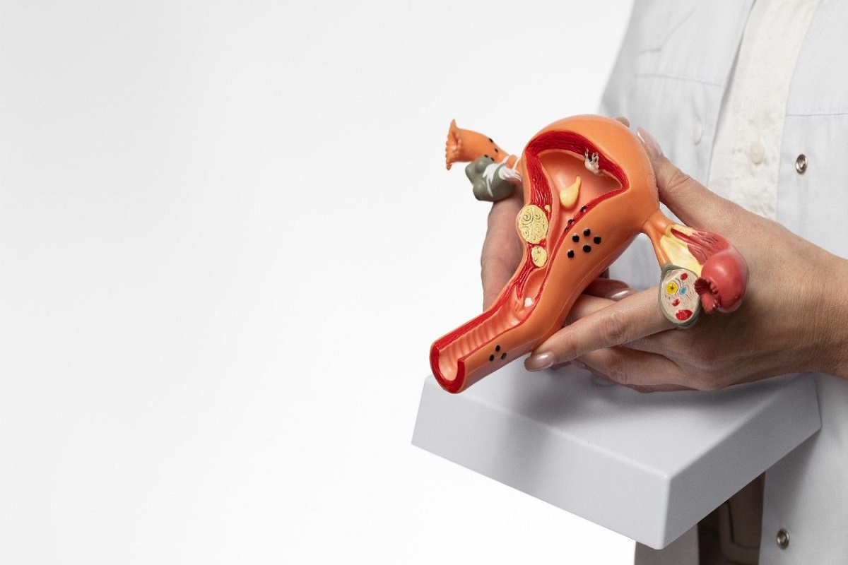 How to Increase Ovarian Follicles in IVF? Natural and Medical Ways