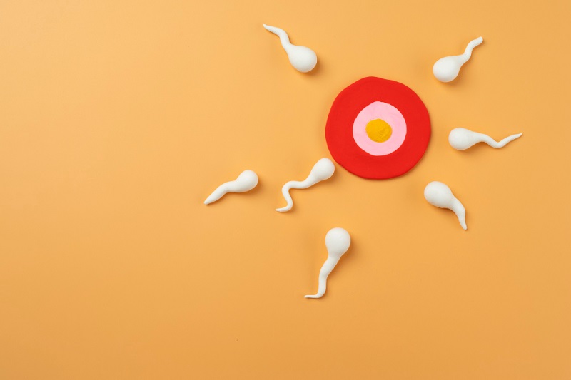What Causes Low Sperm Count (Oligospermia) &amp; How is it Treated?